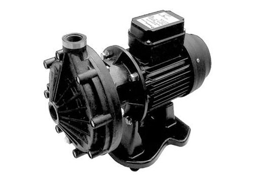 Pool & Spa Pumps